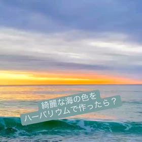 2024/06/12の画像