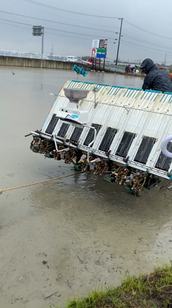 名古屋市港区南陽町の 『田んぼアート』イベントに 参加しましたの記事動画