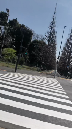 今日水曜日っの記事動画