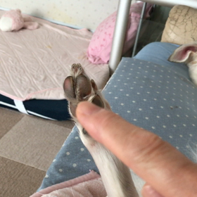 何ですかぁ(≧∀≦)の画像