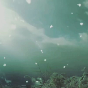 初雪の画像