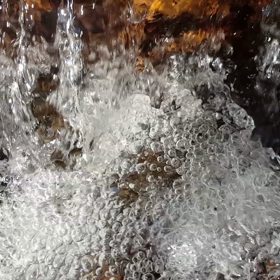 浄化の画像