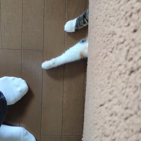 ４月１０日（金）の画像