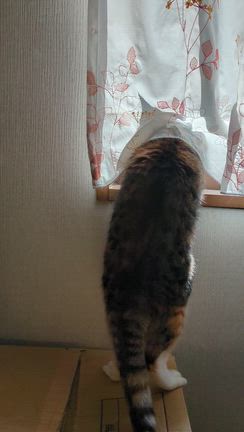 ５月２１日（木）の記事動画