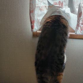 ５月２１日（木）の画像