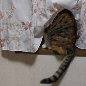 ５月１日（金）の画像