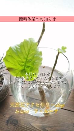 臨時休業のお知らせの記事動画
