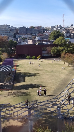 やめずに続けた結果、やりたいことが見えてきた。の記事動画