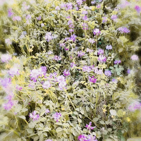 2020/04/14   破壊と再生の冥王星 が...  どうしていこうかの画像