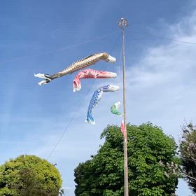 こどもの日の画像