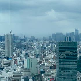 あれまの画像