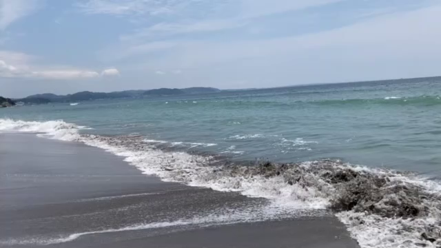 アーシングの記事動画