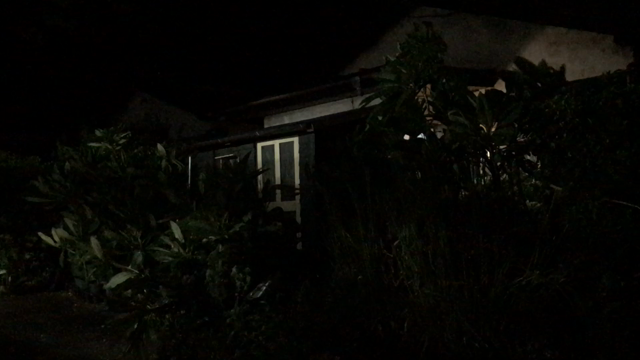 凄まじい台風でした  - 今朝のプルメリアガーデンから -の記事動画