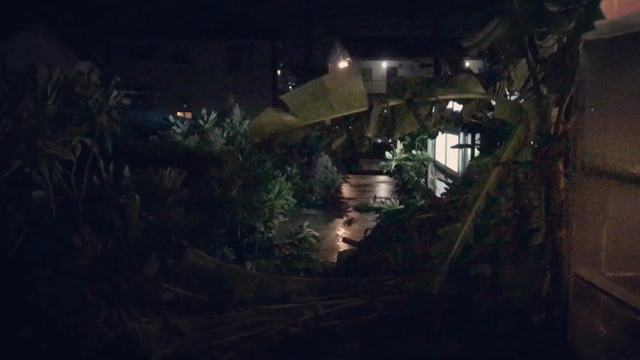 本当にショックです…(>_<)   〜台風一過の久々の夏日〜の記事動画