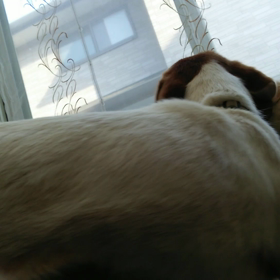 寝ているらんか姉さんにちょっかいを出すルシ子さんの画像