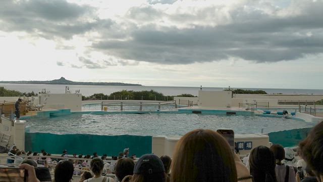 夏休みに沖縄に行ってきました‼️〜国営沖縄記念公園(海洋博公園)　オキちゃん劇場の記事動画