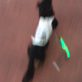 汗止まりません。の画像