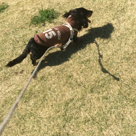 丘ーを越え、いこーよー♪の画像