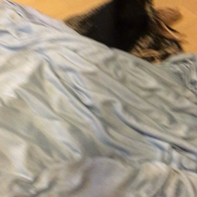 ペットボトルの画像