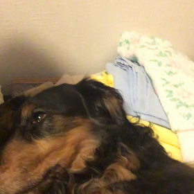 ヒーリングミュージックの画像