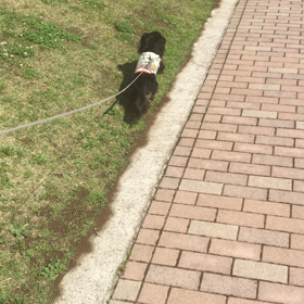 いいね！の画像