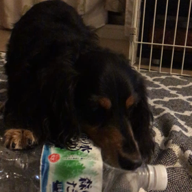 夏休み2日目の画像