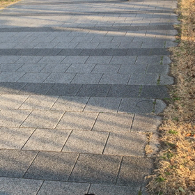 ミワクノカホリ、、、の画像