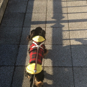 明日から、の画像