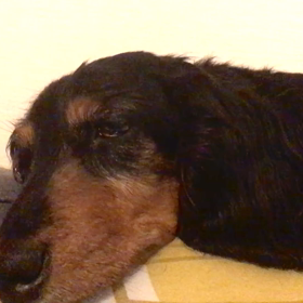 今日は、海の日。の画像