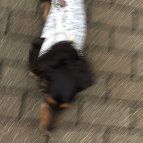 爽やか〜の画像