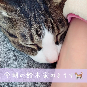 鈴木家今朝のようすの画像