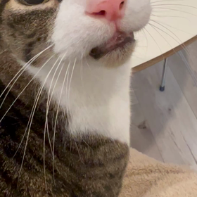 朝から…の画像