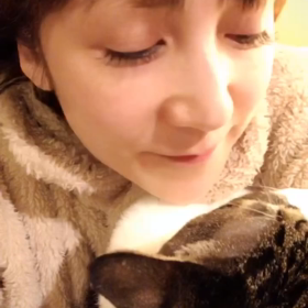 猫が顔を洗う動画の画像