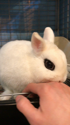 ゼロちゃんですよ～♪の記事動画
