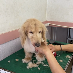 18歳の画像