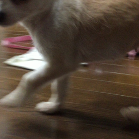 すずさんだぜぃ〜の画像