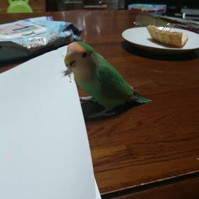 カミカミ飾り付け　コザクラインコの画像