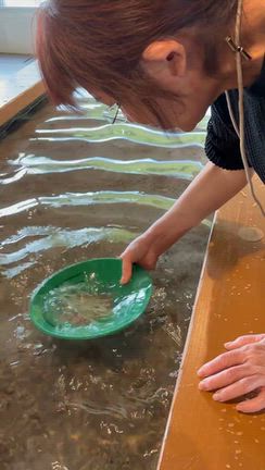 二泊三日の佐渡ヶ島、草津温泉旅行の記事動画