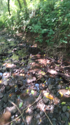 高崎炭田 ～城山自然歩道の新たな穴編～③の記事動画