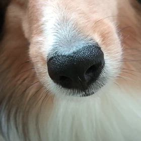 持ってちゃったの画像