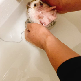 穏やかに続く時間☆の画像