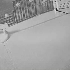 脱走②の画像