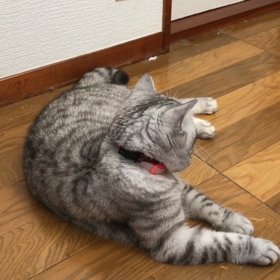 今日は麻雀の日の画像