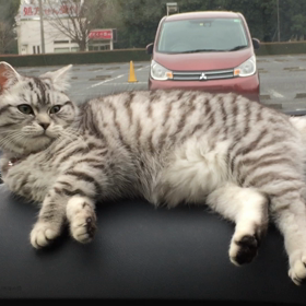 今日はタイタニックの日の画像