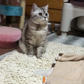 今日は看護の日 それぞれの看護り方法の画像