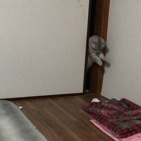 今日はオリンピックデーの画像