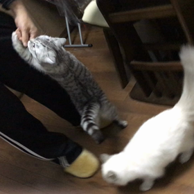 今日は風呂の日の画像