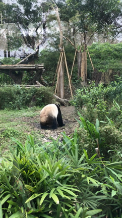 台湾へ！の記事動画