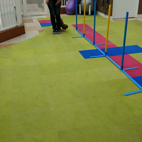 ワンコ幼稚園の画像