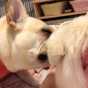 おねぇちゃん良い出汁でてるわぁ。の画像